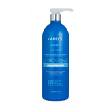 KAREOL CHAMPU ARANDANO AZUL 1000 ml.